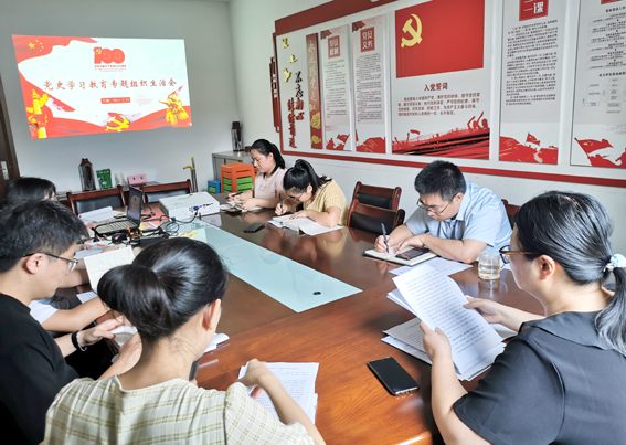 安博首页党支部召开党史学习教育专题组织生活会